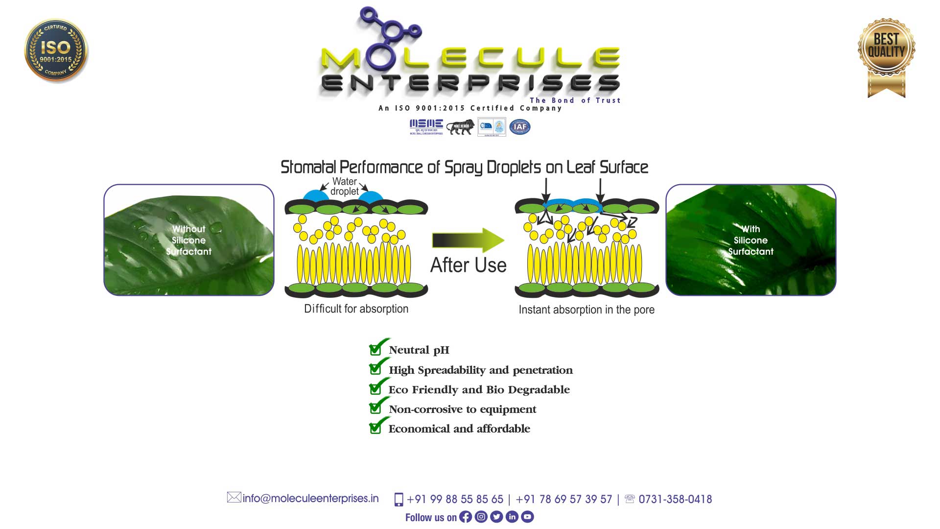 APSA 80 silicone super Spreader